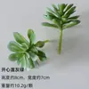 Cabeza de Flor de Terciopelo Carnosa Planta Artificial Falsa Combinación en Maceta de Sábila Cactus Plantas Verdes Adornos de Micro Paisaje