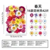 Marcapáginas de flores secas especímenes colección de primavera en botella de película plástica materiales hechos a mano para manualidades estudiantes de primaria flores transparentes