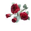 Nuevas Rosas Diamante de 4 Cabezas, Rosas Simuladas, Flores Falsas, Adornos para Sala de Estar y Dormitorio, Flores Secas, Fotografía de Boda, Exportación al por Mayor