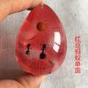 Colgante de Ámbar con Espécimen de Insecto Real Ámbar Insecto Gota de Agua con Forma de Insecto Escorpión Mariposa Abeja Flor Ámbar Transmisión en Vivo Venta al por Mayor