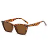 Gafas de sol Cat-Eye Gm para Mujer, Estilo Ins de Alta Gama, Selección de Influencers, Estilo Callejero de Moda Único, Gafas de Sol con Protección Solar para Hombres