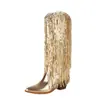 40--48 Tamanho Grande Botas Comércio Exterior Transfronteiriço Botas com Franjas Europeias e Americanas Bico Fino Salto Grosso Cano Alto Botas Longas Femininas Botas Western Dropshipping