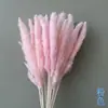 Pequeño Ramo de Flores Secas de Juncia Mezclado con Flores Secas para Decoración, Juncia Gris Claro, Ramo de Pampa Transfronterizo, Flores Inmortales