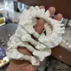Encaje de Tela Encaje Seda de Hielo Diadema para el Cabello Diadema de Intestino Grueso Nuevo de Verano Cola de Caballo Color Caramelo Cuerda para el Cabello Coreana para Mujeres
