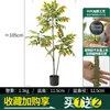 Habitat de folha de glicínia planta verde artificial alto padrão luxo leve interior sala de estar chão árvore falsa biônica planta em vaso