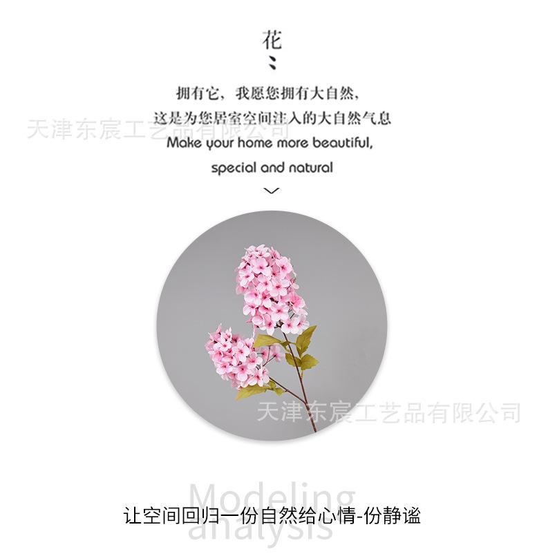 详情_05.png
