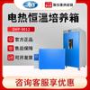 Incubadora termostática eléctrica de laboratorio Shanghai Yiheng DHP-9012