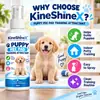 Toallitas para pipí de cachorro KineShineX, ayudas para el entrenamiento para ir al baño de mascotas en interiores, guías de posicionamiento para toallitas para pipí de cachorro