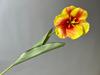 Tulipa Flores Artificiais Flores de Casamento Tianjin Floricultura Sentido Avançado Casa Decoração de Mesa de Jantar Adereços de Casamento Flores Falsas