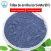 Pólen de feijão borboleta 99% malha 400 frete incluso quantidade grande de excelente flor de borboleta azul extrato de flor de feijão borboleta rosa