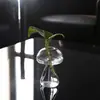 Jarrón de vidrio estilo japonés decoración del hogar gato escritorio planta verde jarrón hidropónico micro-paisaje creativo mini lindo