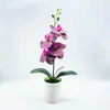 Bonsai de flor artificial em vaso artificial simulação Phalaenopsis vasos de flores artificiais ornamentos 2022 Novo Impressão 3D