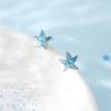 Brincos femininos estilosos, personalidade, estrela do mar azul, temperamento, praia, todos os estilos