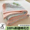 2026 Nuevo Estilo Hilo Esponjoso Colcha para Aire Acondicionado Rellena de Algodón de Xinjiang, Colcha de Verano para Camas Individuales y Dobles, Colcha Fina de Verano para Uso Doméstico