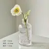 Venta al por mayor Transfronterizo Jarrón de Vidrio Sódico-Cálcico Ins Estilo Europeo Jarrón de Vidrio Decoración de Arreglo Floral para el Hogar Moderno