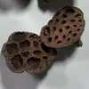 Flor de Loto Natural Cabeza de Loto Seca Sin Semillas Adornos para Jarrón Flores Secas Frutas Secas Manualidades Decorativas