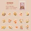 Bolsa de adesivos PET de pássaros italianos série Nancheng florescence pequeno fresco retrô planta barraca de mão cartão goo adesivos decorativos diy