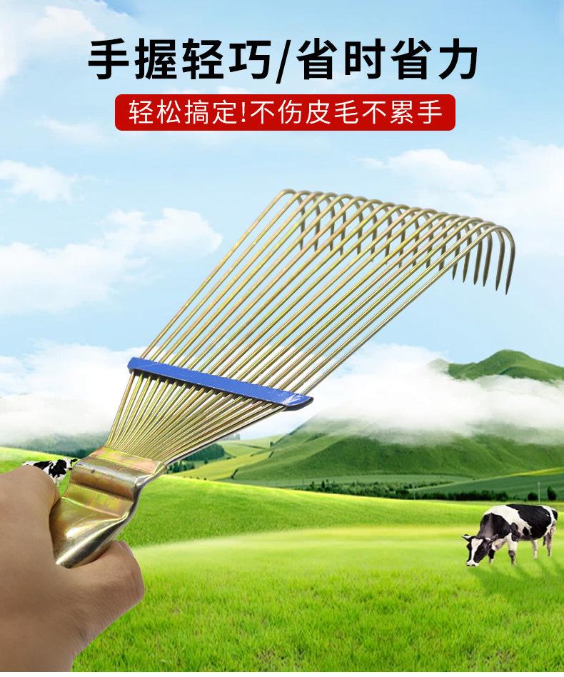 详情_03.jpg