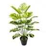 Vendas Diretas de Fábrica Plantas Verdes Simuladas, Jiboia, Costela-de-Adão, Folhas de Borracha, Decoração de Sala de Estar, Árvores Falsas, Bonsai, Plantas em Vasos para Paisagismo