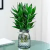 Planta Hidropônica de Bambu Guanyin com Raízes, Planta Verde, Planta de Bambu da Sorte, Rabanete Verde Planta de Vaso para Interior, Bambu da Fortuna com Vaso, Fácil de Cuidar