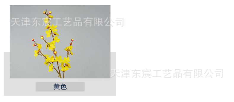 详情_03.jpg