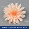 Flores de Seda Color Champán, Rosas y Peonías Artificiales, Flores para Pasador DIY, Birrete, Tocado de Estilo Étnico, Sombrero, Decoración de Abanico