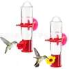 Alimentador de Água para Beija-flor com Ventosa Fabricante de Alimentadores de Pássaros para Beija-flores Tem Várias Cores em Estoque Que Podem Ser Combinadas e Penduradas para Alimentar Pássaros