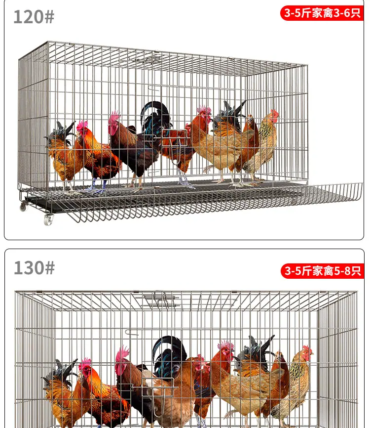 鸡笼子建模_17
