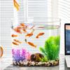 Acuario de Presión Negativa Suspendido de Escritorio Pequeño Acuario de Peces Dorados Sala de Estar Acuario de Plástico Hogar Micro Paisaje Tanque Ecológico