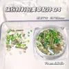 Pacote de Material Colorido Estilo Ins Acessórios para Unhas Arte Cristal Tubo Tubo de Arroz Contas Pérola Cascalho Mineral Material DIY para Unhas