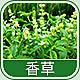 4138 - 香草香精
