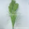 Plantas Verdes Simuladas, Buquês Coloridos de Capim-Cebola-dos-Pântanos, Decoração de Shopping Center, Adereços de Casamento, Fogos de Artifício Diurnos, Personalização de Capim-dos-Pântanos