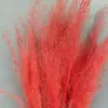 Flores Preservadas, Hierba Rosa, Flores Secas, Hierba Mosquitera, Cola de Zorro, Materiales Florales DIY, Arreglos de Boda, Decoración del Hogar, Venta al por Mayor de Fábrica