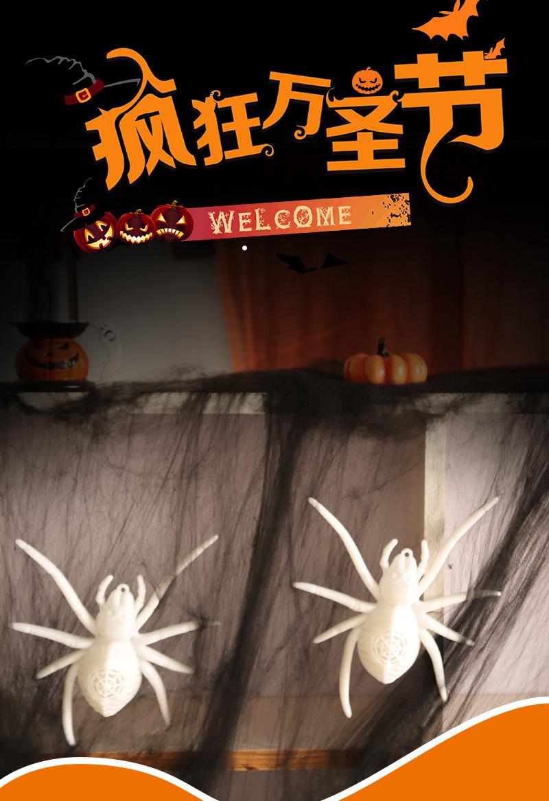 蜘蛛灯_01.jpg