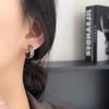 Aretes de Aro Redondo Negro Esmerilado Retro Francés Moda Nicho Lujo Ligero Estilo Alto Frío Otoño e Invierno Nuevos Aretes para Mujer