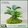 Musgo Sintético Plantas Verdes Paisajismo Interior Plantas Biónicas de Alta Gama Micro Paisaje Adornos Escaparate Montones de Musgo Artificial Combinación de Paisaje