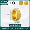 Enchufe a Prueba de Explosiones de Rosca Hexagonal Exterior de Cobre de 4 Puntos Cable Enchufe Tapa de Enchufe de 6 Puntos Tapón de Tubería de Pared de 1 Pulgada con Diente Interior Tapa para Tubería de Agua