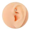 F136 Aleación Doble Cabeza Circonita Incrustada Rosca Interna Barra Curva Stud para Ceja 0.9 Rosca Interna 6-10mm Joyería para Piercing Corporal