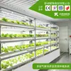 Sistema de Cultivo de Plantas por Aerosol Móvil Invernadero Interior Equipo de Cultivo de Verduras Máquina Inteligente de Cultivo de Verduras con Control Ambiental