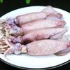 Venta al por mayor de fábrica Congelado Puro Océano Semilla Entera Congelado Fresco Pescado de Semilla Negra Congelado Fresco Pescado Tubo de Pluma Congelado Liebre de Mar Congelada Calamar Congelado