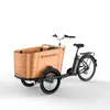 Coche E-Coche Mascota Madre e Hijo Montando un Burro Triciclo Beclrgjivhiicaeo Carga Bicicleta Eléctrica Asistida