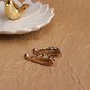Venta Caliente Transfronteriza Champagne Elegante Estilo Celebridad Moda Zircón Pendientes de Gota de Agua Estilo Hong Kong Elegante Celebridad de Internet Pendientes Calientes