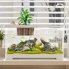 Tanque de Peces Ecológico Seleccionado Cuidadosamente para el Hogar, Escritorio, Paisajismo, Tanque de Corriente Auto-Circulante, Tanque de Plástico para Tortugas de Oficina