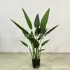 Celebrante de Internet Nórdico Sirena de Simulación Viajero de Coca-Cola Plátano Decoración y Adornos Grandes para Interiores Ave del Paraíso en Maceta