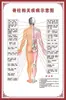 Diagrama del Esqueleto Humano, Cartel de Pared Grande, Diagrama de Órganos, Gráfico de Estructura de Órganos Internos, Gráfico de Puntos de Acupuntura, Póster del Gráfico de Anatomía Muscular Humana