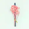 Varetas Difusoras de Aromaterapia Sem Chama, Varetas de Fibra para Aromaterapia, Conjunto Céu Estrelado Eterno, Embalado em Saco, Difusor de Óleo Essencial para Interior, Varetas de Fragrância