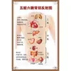 Diagrama de Gua Sha de Espalda Centro de Salud Belleza Cuerpo Humano Punto de Acupuntura Mural Medicina Tradicional China Cartel Promocional Pegatina de Diagnóstico de Columna Vertebral