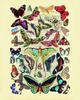 Póster de lienzo con diseño de planta, flor, mariposa y animal de estilo nórdico retro para el hogar y la sala de estar, pintura decorativa con núcleo colgante
