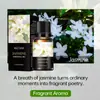 Transfronterizo 15 Tipos de Aceites Esenciales de Aromaterapia Solubles en Agua Mejisoo para Ambientar el Aire Interior, Aceites Esenciales de Plantas para Aromaterapia sin Llama