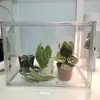 Caixa de Criação em Acrílico, Caixa Totalmente Transparente à Prova de Vento e Isolada, Caixa de Viveiro para Plantas Tropicais e Bonsai, Armário Doméstico para Aquecimento de Plantas